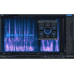 iZotope RX 10 Standard: CRG from any paid iZotope product (Digitálny produkt)